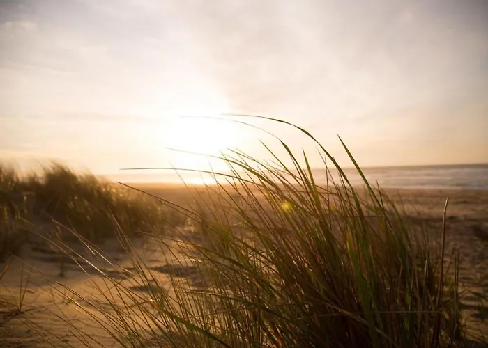 Semesterbostad Luxus Bis 2 Personen Ohne Hund *